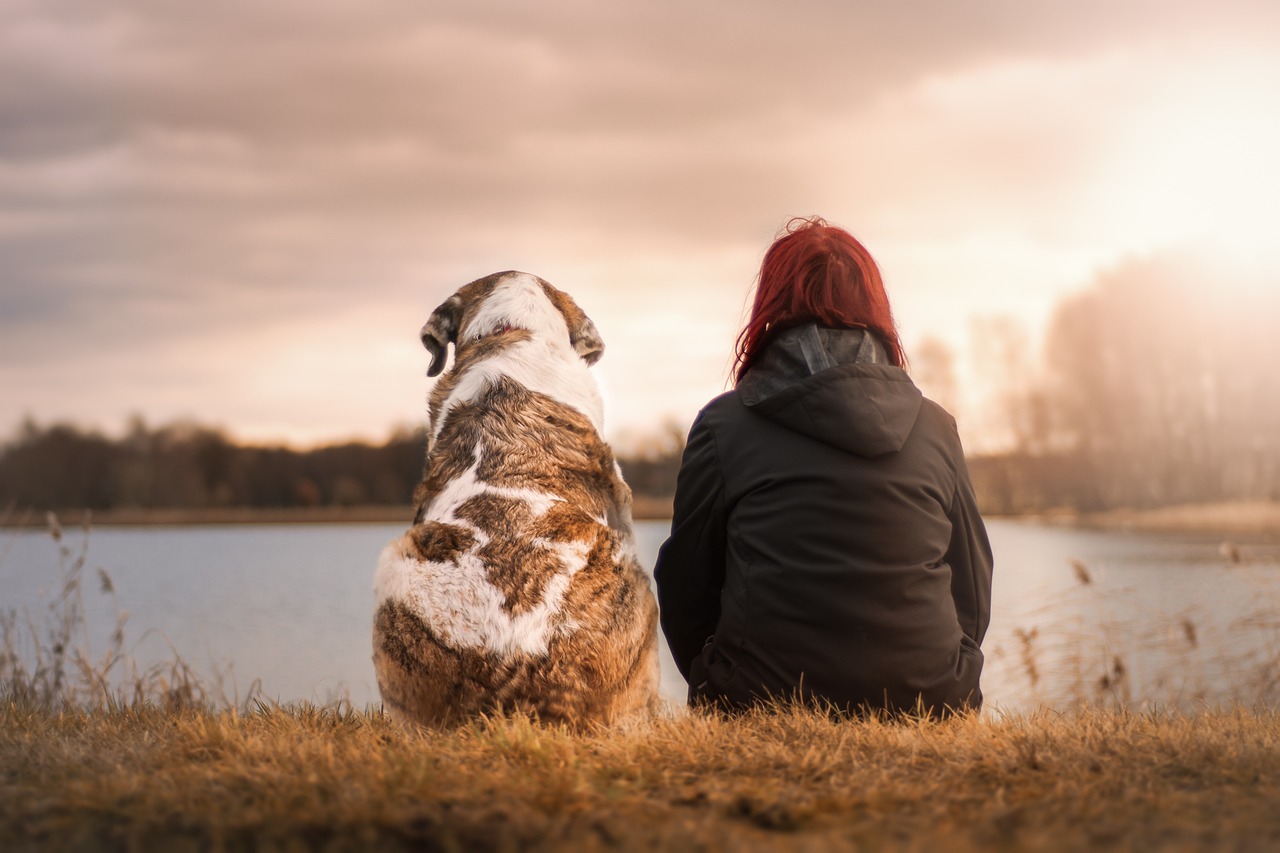 Frau und Hund sitzen am See Welche Hunderassen eignen sich besonders gut für Frauen
