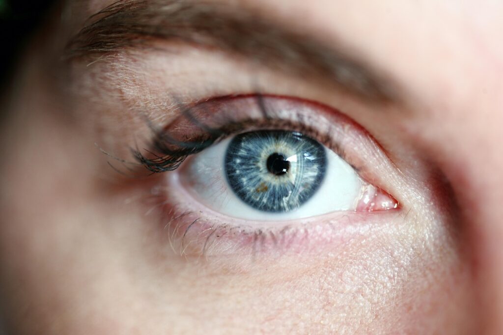 Beauty Faru schöne Augen Magnetwimpern Erfahrungen Lohnen sie sich wirklich